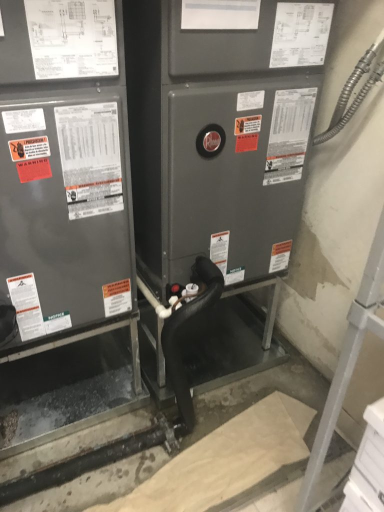 Heat Pumps vs. Traditional Furnaces: Which Heating System Is Best for Your Florida Home?